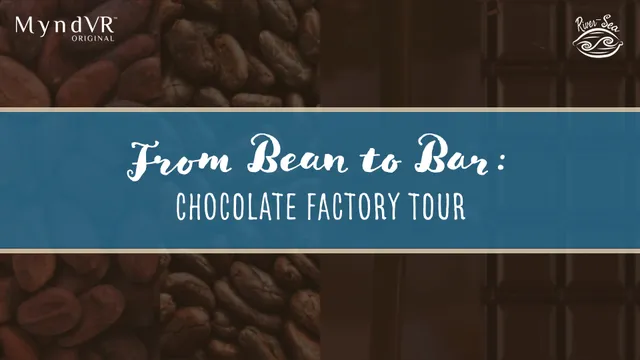 From Bean to Bar: Chocolate Factory Tour