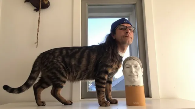 CrazyCat.mp4