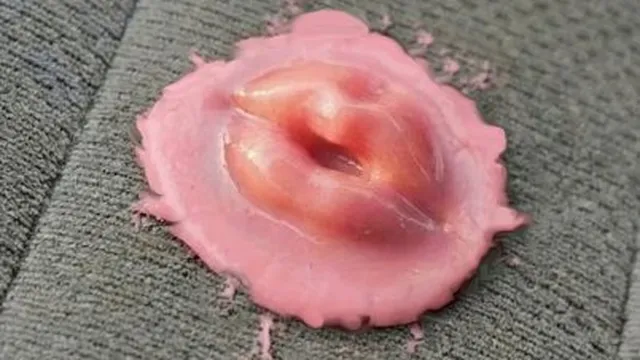 DETAILING WORLD THE GUM