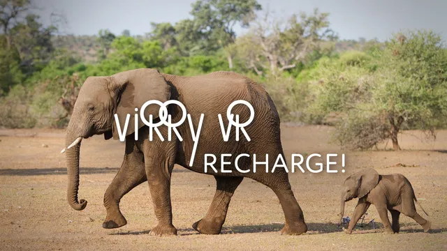 Virry Recharge - hang out with elephants