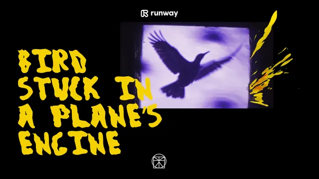 BIRD STUCK IN A PLANE'S ENGINE