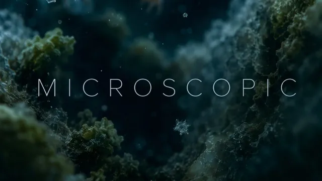 MICROSCOPIC