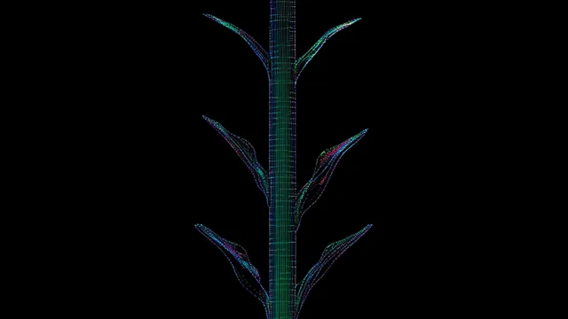 FLOWER S