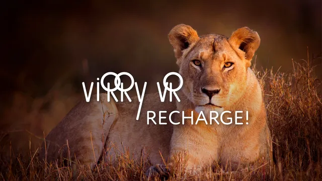 Virry Recharge - hang out with the lioness