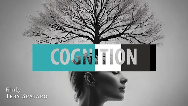 Cognition