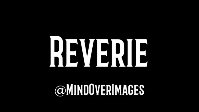 Reverie