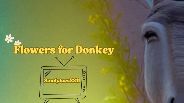 Flowers for Donkeys.mp4