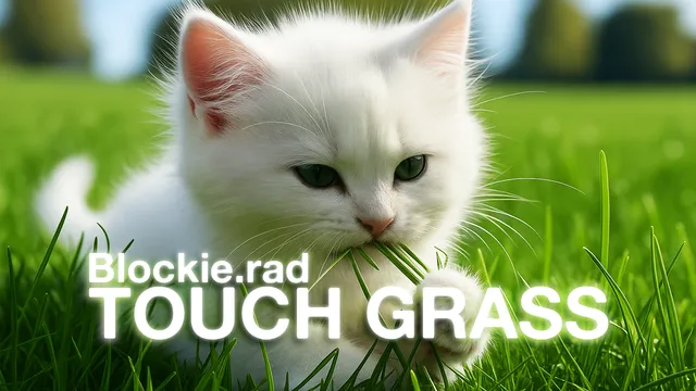 Blockie.rad - Touch Grass