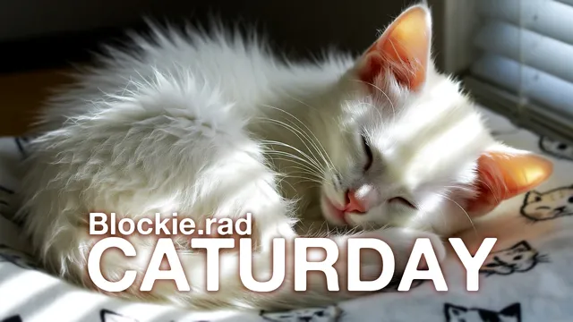 Blockie.rad - Caturday