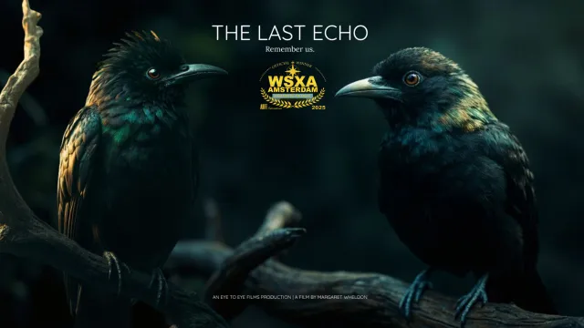 The Last  Echo