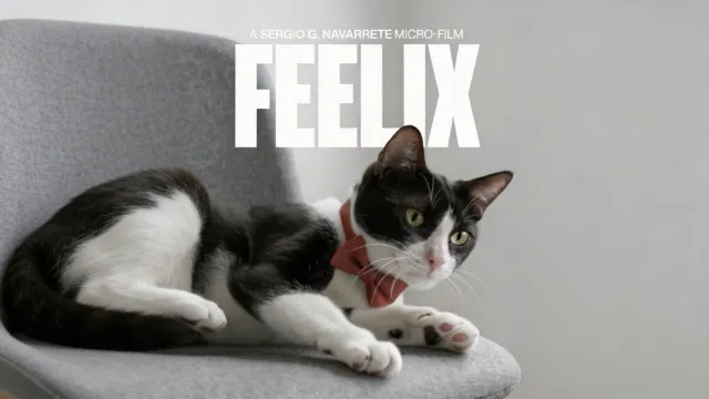 FEELIX