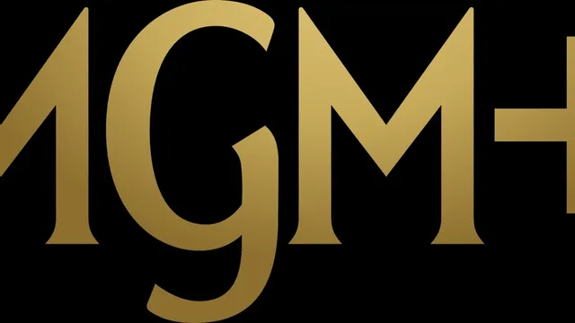 373 MGM+