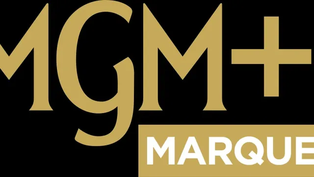 376 MGMMR